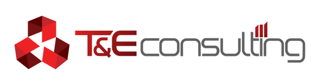 Logo T&E Consulting